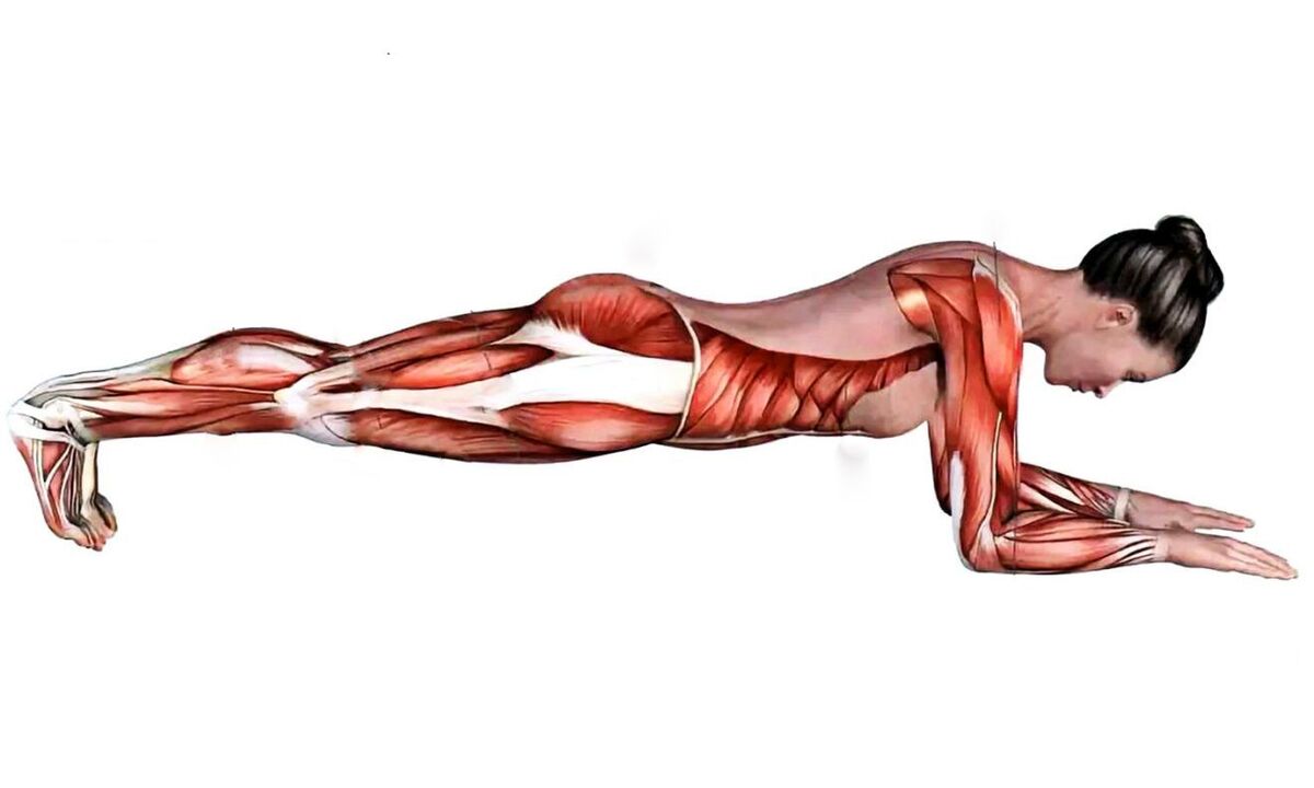 millised lihased töötavad, kui plank